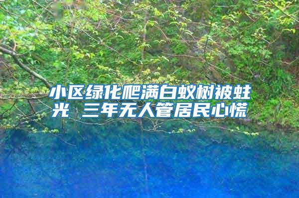 小區綠化爬滿白蟻樹被蛀光 三年無人管居民心慌