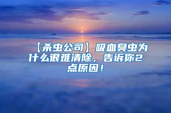 【殺蟲公司】吸血臭蟲為什么很難清除,告訴你2點(diǎn)原因!