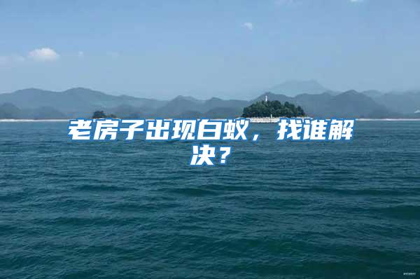 老房子出現(xiàn)白蟻，找誰解決？