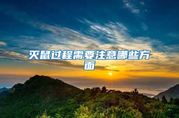 滅鼠過程需要注意哪些方面