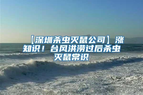【深圳殺蟲滅鼠公司】漲知識!臺風洪澇過后殺蟲滅鼠常識