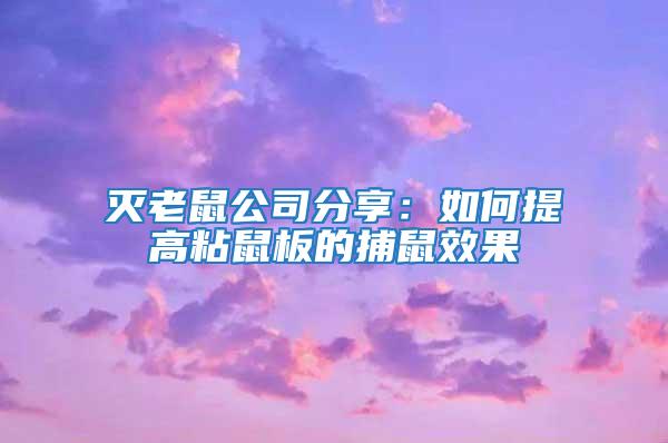 滅老鼠公司分享:如何提高粘鼠板的捕鼠效果
