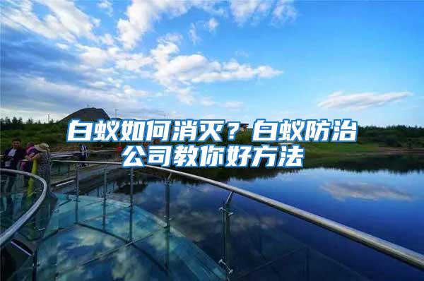 白蟻如何消滅?白蟻防治公司教你好方法