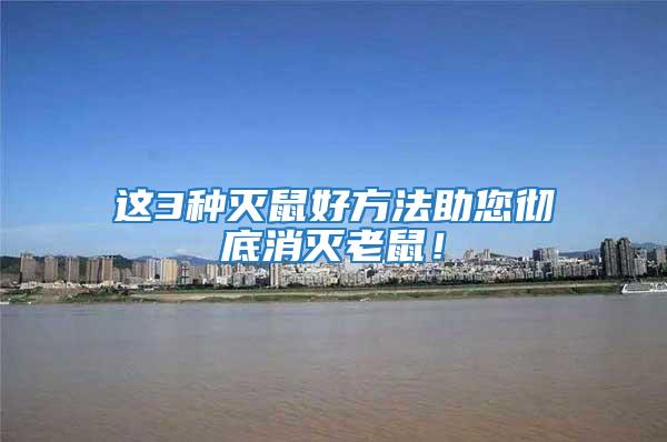 這3種滅鼠好方法助您徹底消滅老鼠！