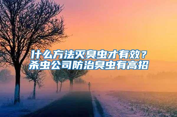 什么方法滅臭蟲(chóng)才有效？殺蟲(chóng)公司防治臭蟲(chóng)有高招