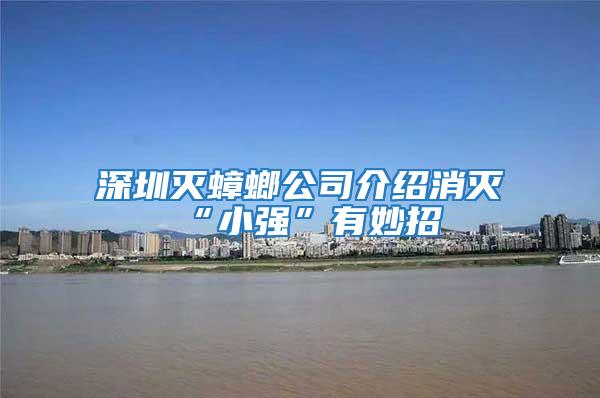 深圳滅蟑螂公司介紹消滅“小強”有妙招