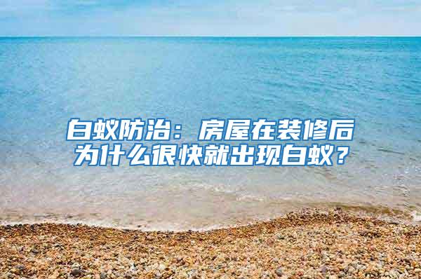白蟻防治:房屋在裝修后為什么很快就出現白蟻?