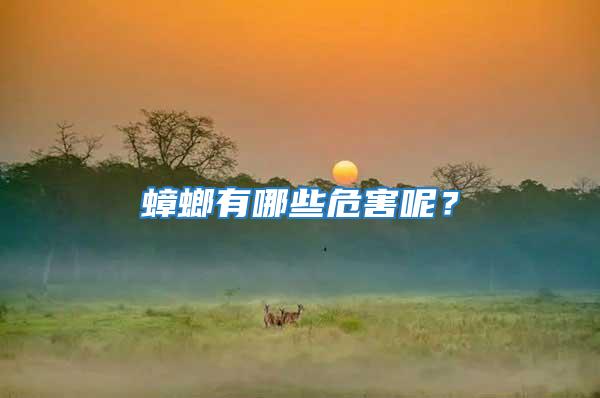 蟑螂有哪些危害呢？