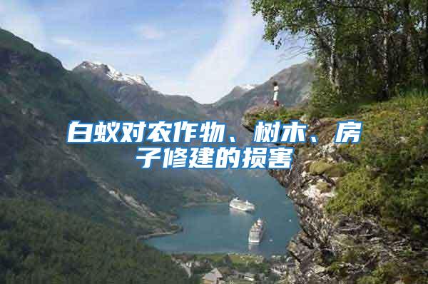 白蟻對農(nóng)作物、樹木、房子修建的損害