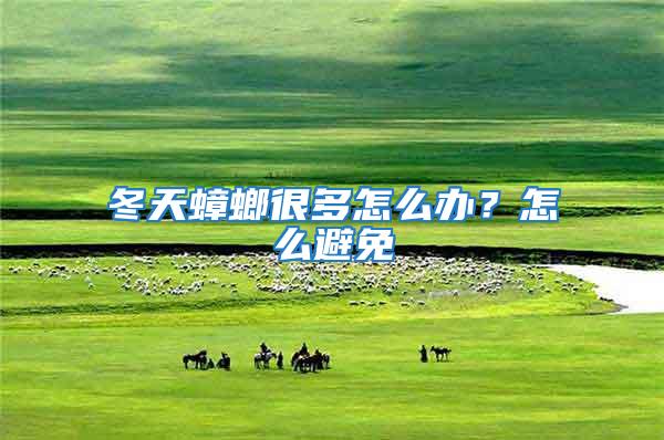 冬天蟑螂很多怎么辦？怎么避免