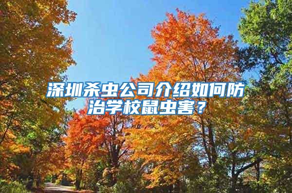 深圳殺蟲公司介紹如何防治學(xué)校鼠蟲害？