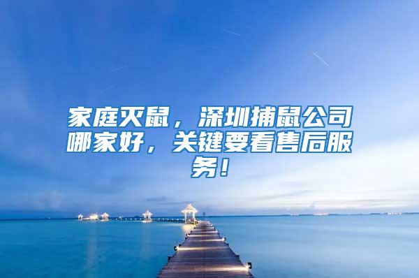 家庭滅鼠,深圳捕鼠公司哪家好,關(guān)鍵要看售后服務!