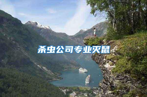 殺蟲(chóng)公司專業(yè)滅鼠