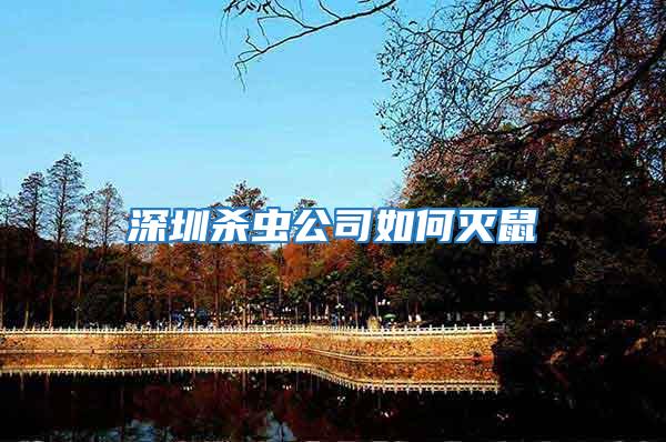 深圳殺蟲公司如何滅鼠