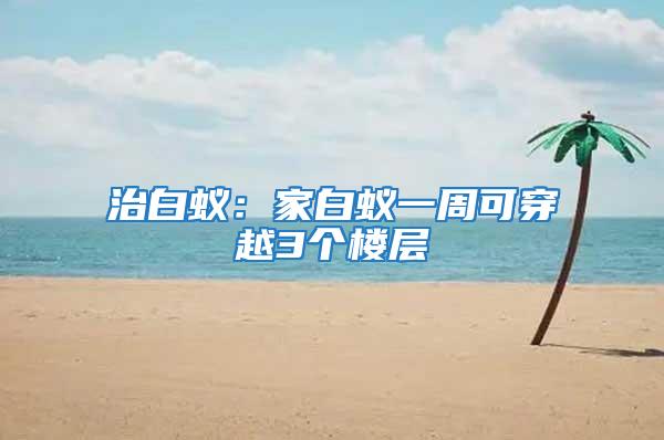 治白蟻:家白蟻一周可穿越3個樓層