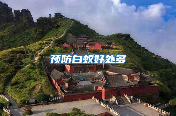 預防白蟻好處多