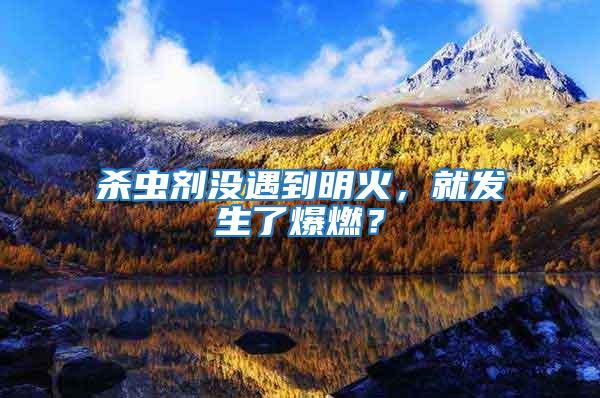 殺蟲劑沒遇到明火,就發(fā)生了爆燃?