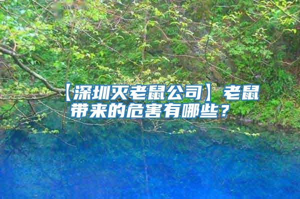 【深圳滅老鼠公司】老鼠帶來(lái)的危害有哪些?