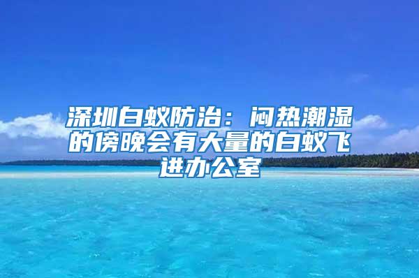 深圳白蟻防治:悶熱潮濕的傍晚會有大量的白蟻飛進辦公室