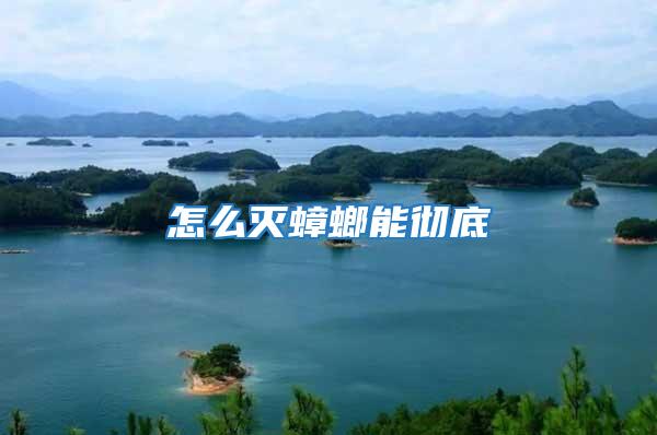 怎么滅蟑螂能徹底