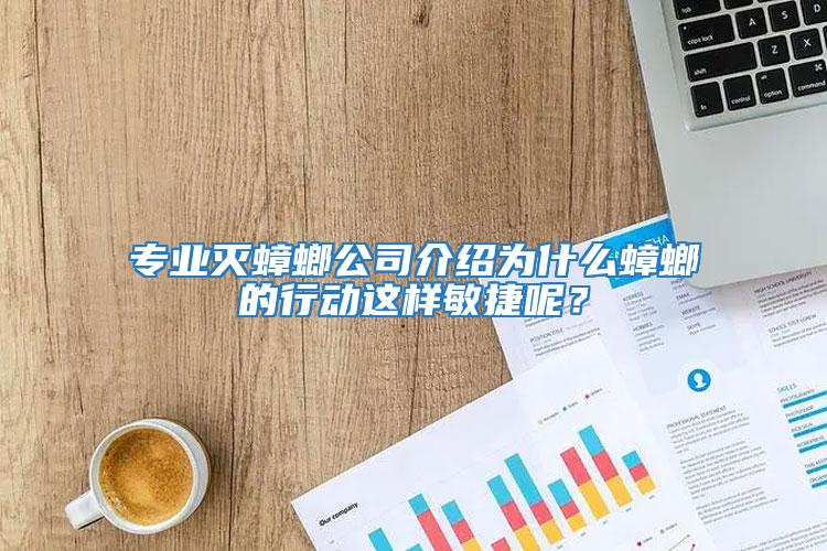 專業滅蟑螂公司介紹為什么蟑螂的行動這樣敏捷呢?