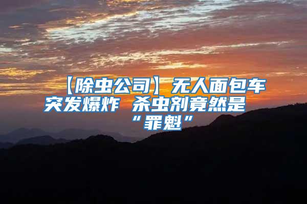 【除蟲公司】無人面包車突發爆炸 殺蟲劑竟然是“罪魁”