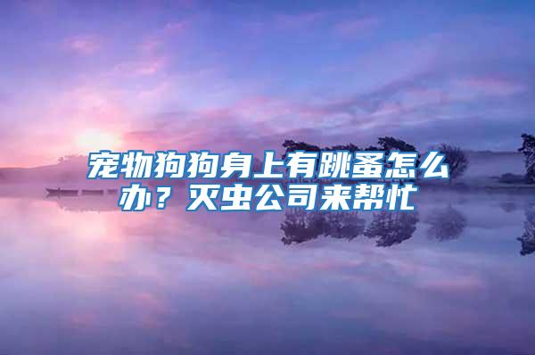 寵物狗狗身上有跳蚤怎么辦?滅蟲公司來幫忙