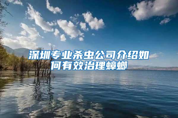 深圳專業殺蟲公司介紹如何有效治理蟑螂