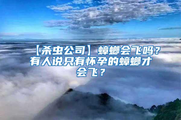【殺蟲公司】蟑螂會(huì)飛嗎?有人說只有懷孕的蟑螂才會(huì)飛?
