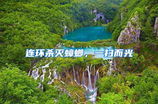 連環(huán)殺滅蟑螂,一掃而光