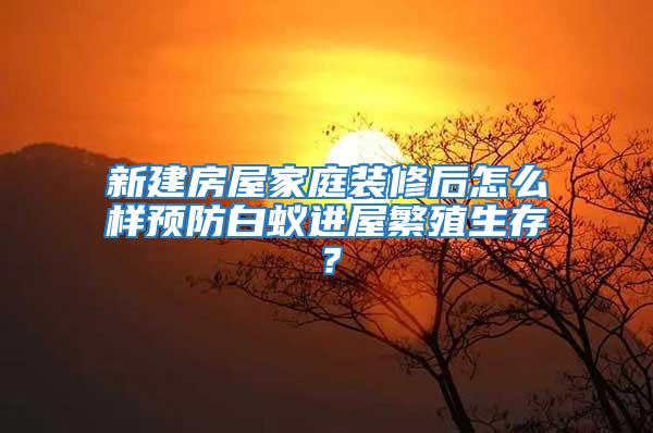 新建房屋家庭裝修后怎么樣預(yù)防白蟻進屋繁殖生存?