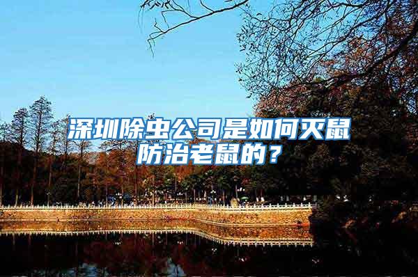 深圳除蟲公司是如何滅鼠防治老鼠的?