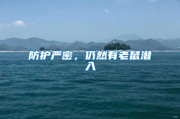 防護(hù)嚴(yán)密,仍然有老鼠潛入