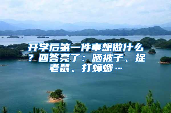 開學后第一件事想做什么?回答亮了:曬被子、捉老鼠、打蟑螂…