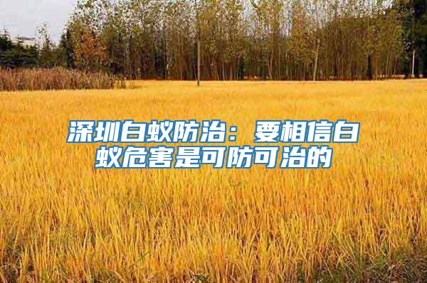 深圳白蟻防治:要相信白蟻危害是可防可治的