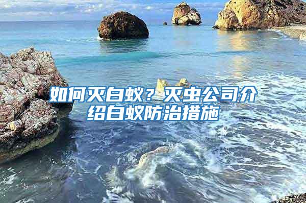 如何滅白蟻?滅蟲公司介紹白蟻防治措施