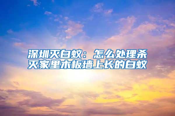 深圳滅白蟻:怎么處理殺滅家里木板墻上長的白蟻