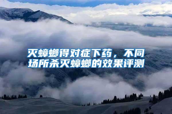 滅蟑螂得對癥下藥，不同場所殺滅蟑螂的效果評測