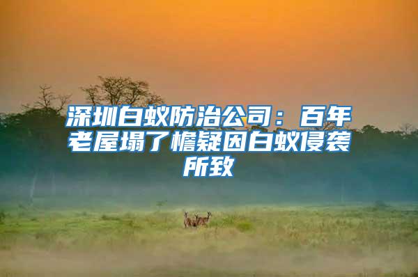 深圳白蟻防治公司:百年老屋塌了檐疑因白蟻侵襲所致