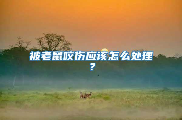 被老鼠咬傷應該怎么處理?