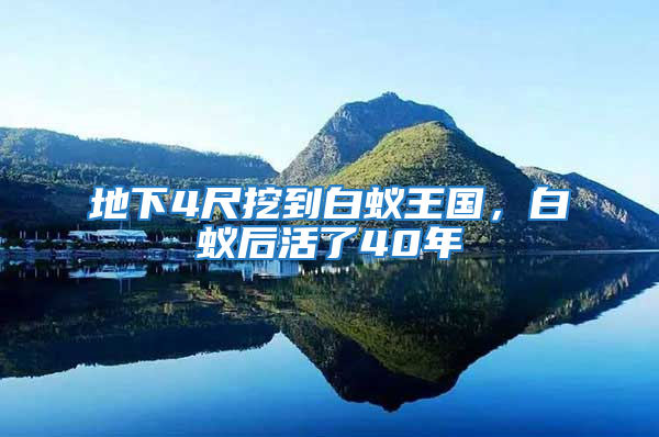 地下4尺挖到白蟻王國,白蟻后活了40年