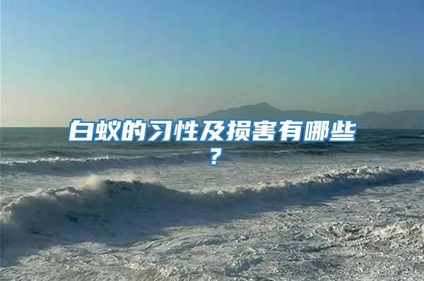 白蟻的習性及損害有哪些?