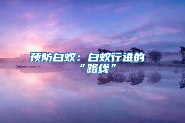 預防白蟻:白蟻行進的“路線”