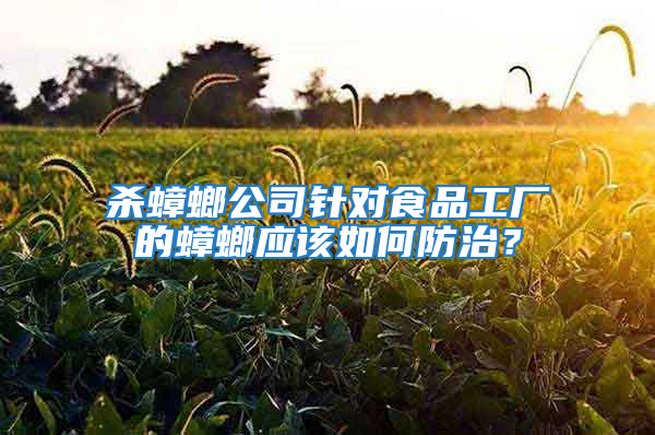 殺蟑螂公司針對食品工廠的蟑螂應(yīng)該如何防治?