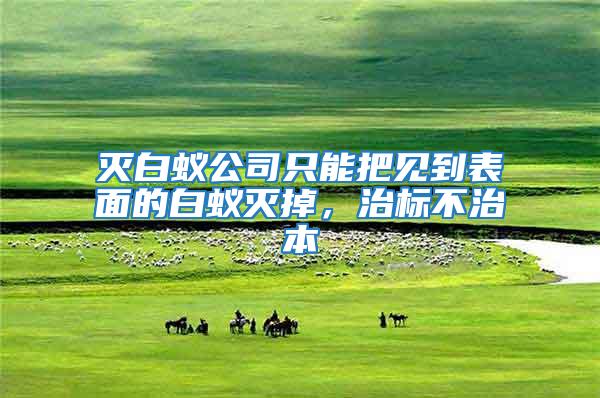 滅白蟻公司只能把見到表面的白蟻滅掉,治標不治本