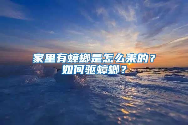 家里有蟑螂是怎么來(lái)的?如何驅(qū)蟑螂?