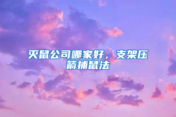 滅鼠公司哪家好,支架壓箭捕鼠法