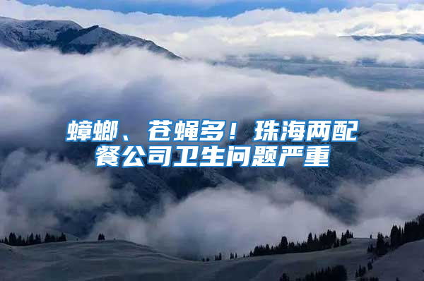 蟑螂、蒼蠅多!珠海兩配餐公司衛生問題嚴重