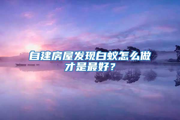 自建房屋發現白蟻怎么做才是最好？
