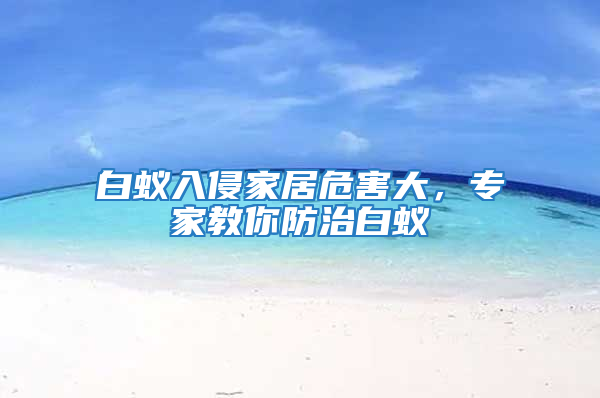 白蟻入侵家居危害大，專家教你防治白蟻